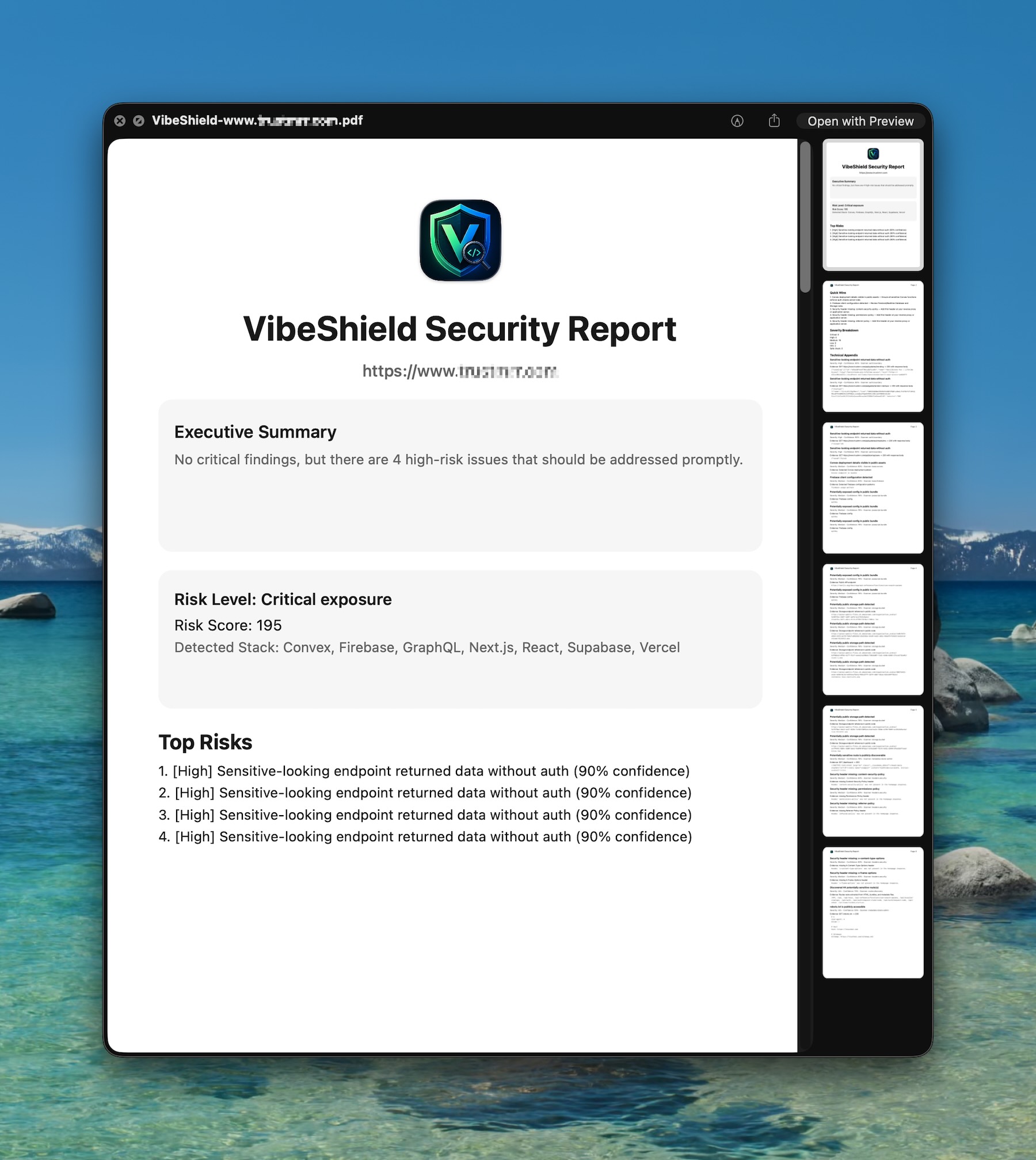 VibeShield exported PDF report preview