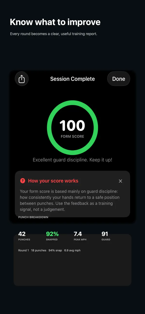 ShadowCoach boxing session statistics