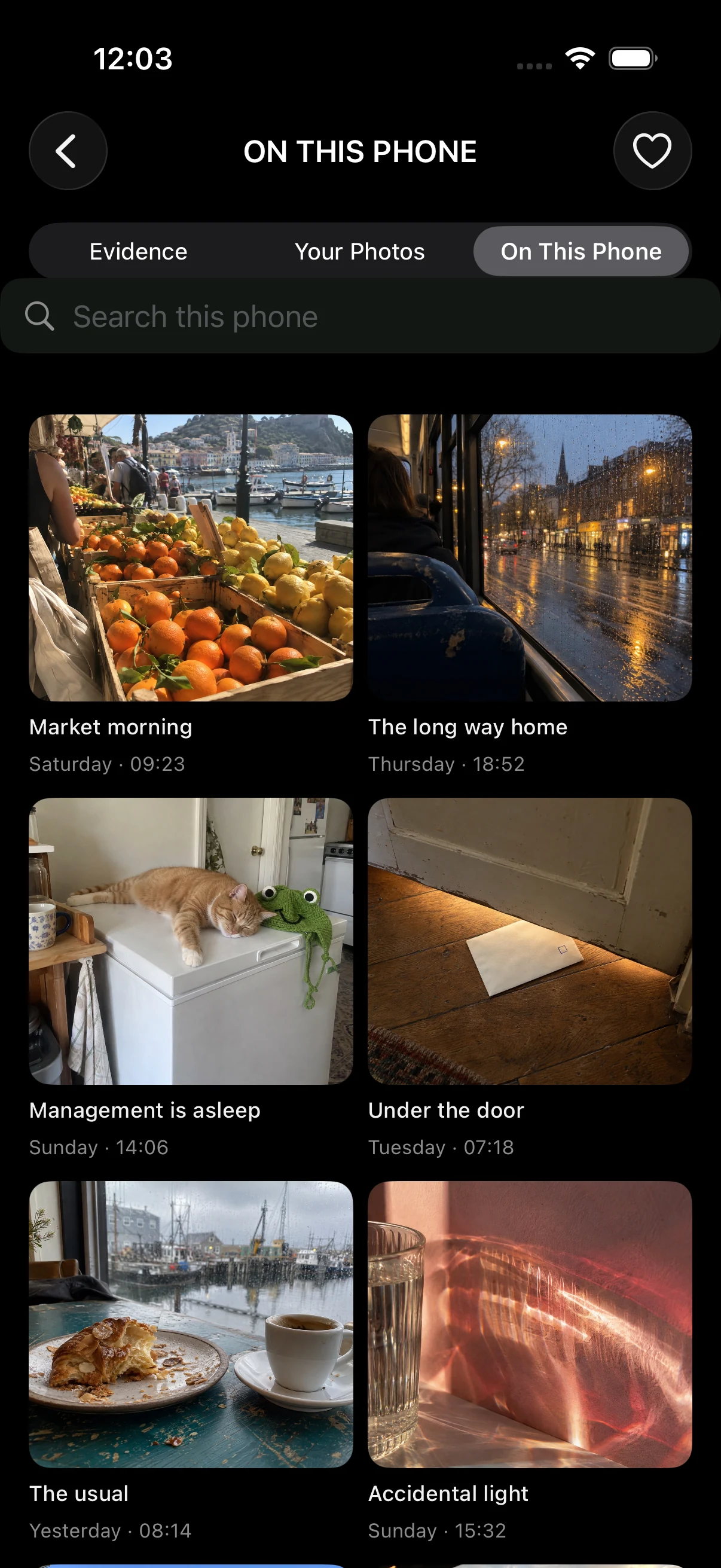 A fictional camera roll containing clues and ordinary moments