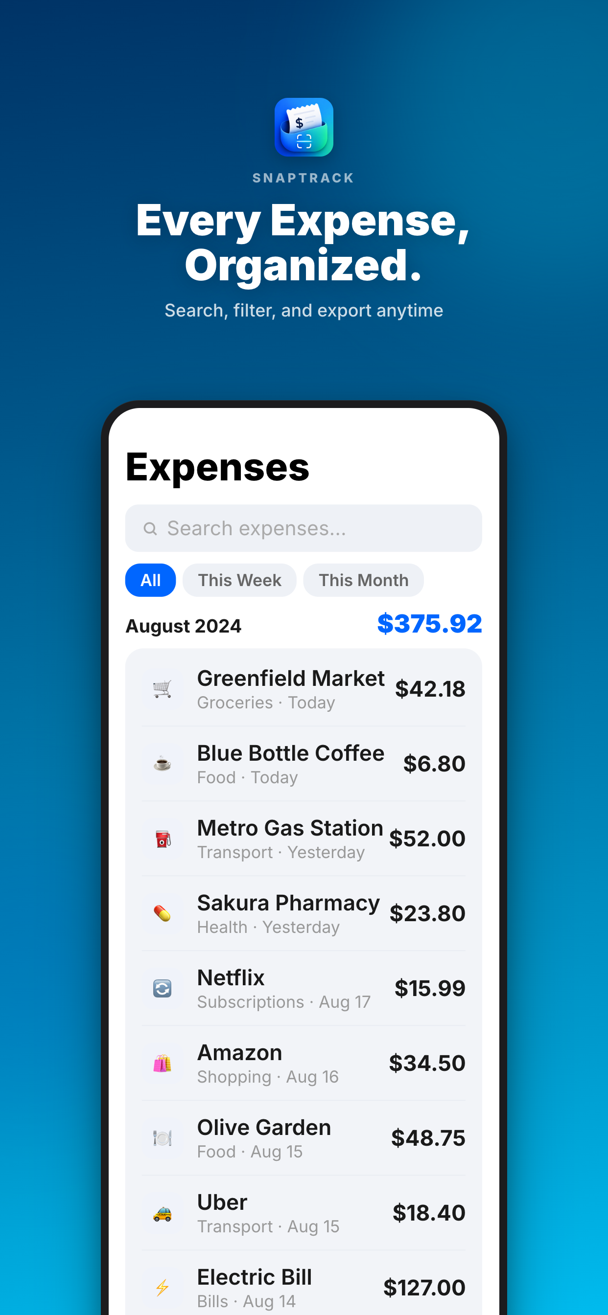SnapTrack expense history on iPhone listing scanned receipts by date with categories and amounts