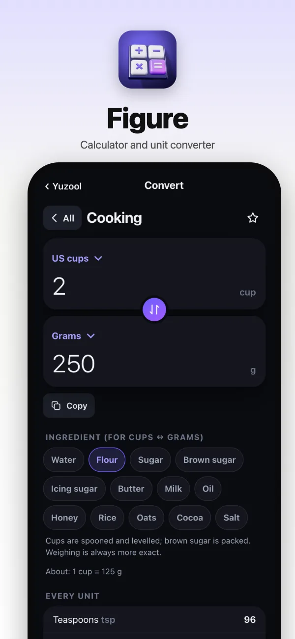 Two cups of flour converted to grams, with every other unit listed