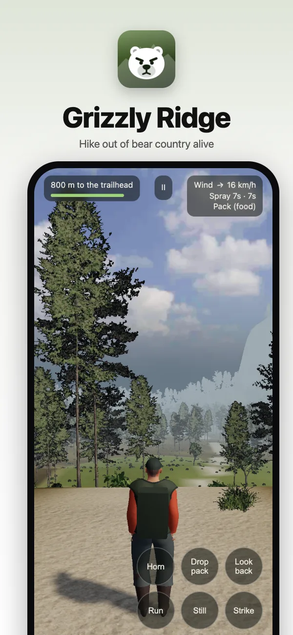 A hiker on a forest trail in the HD look, the valley ahead