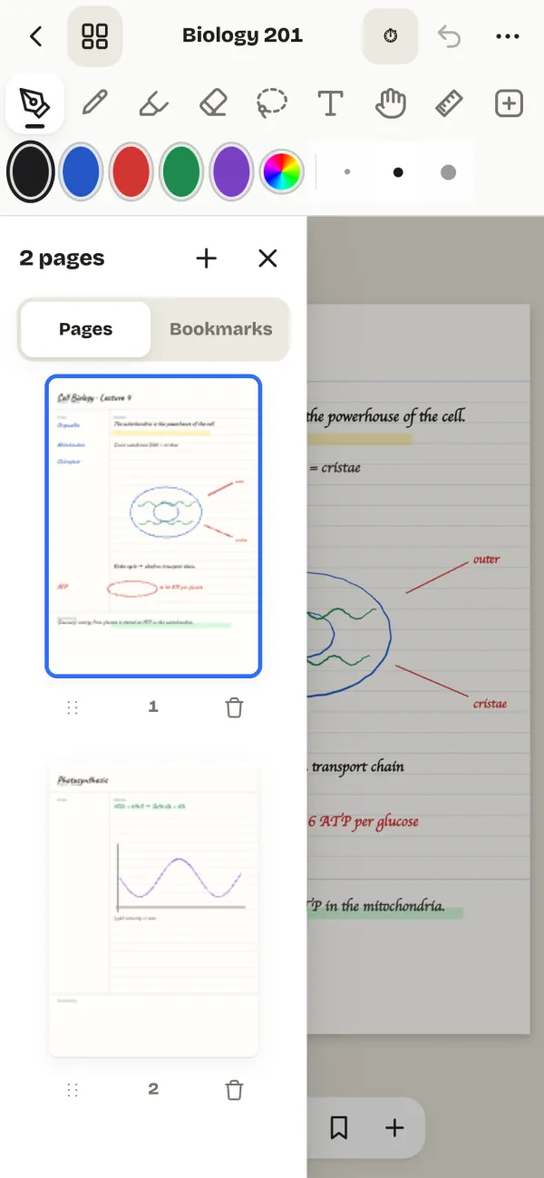 Draw freehand on any page