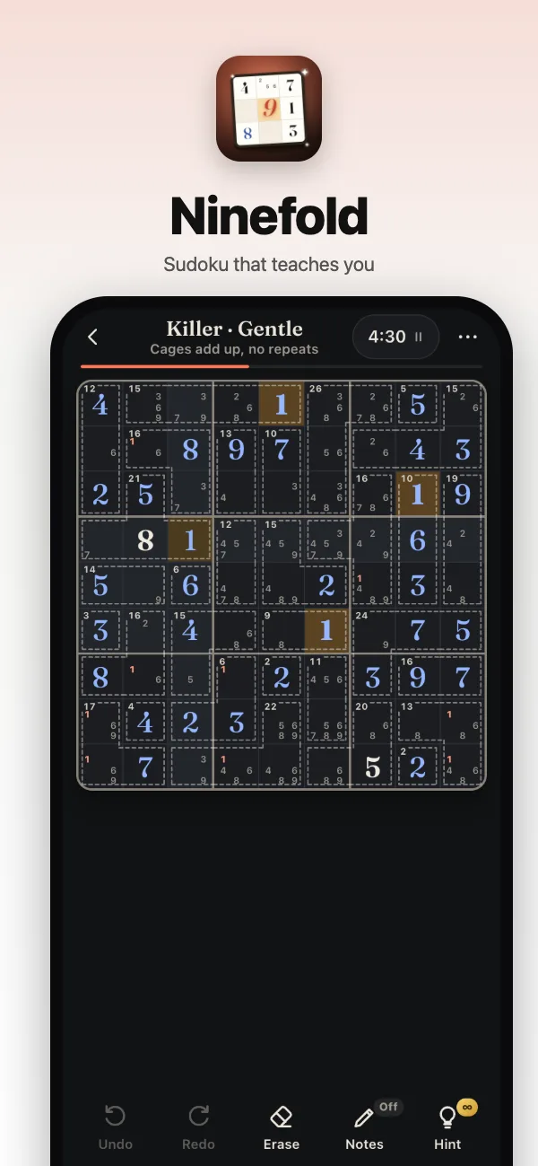 Killer Sudoku cages and sums